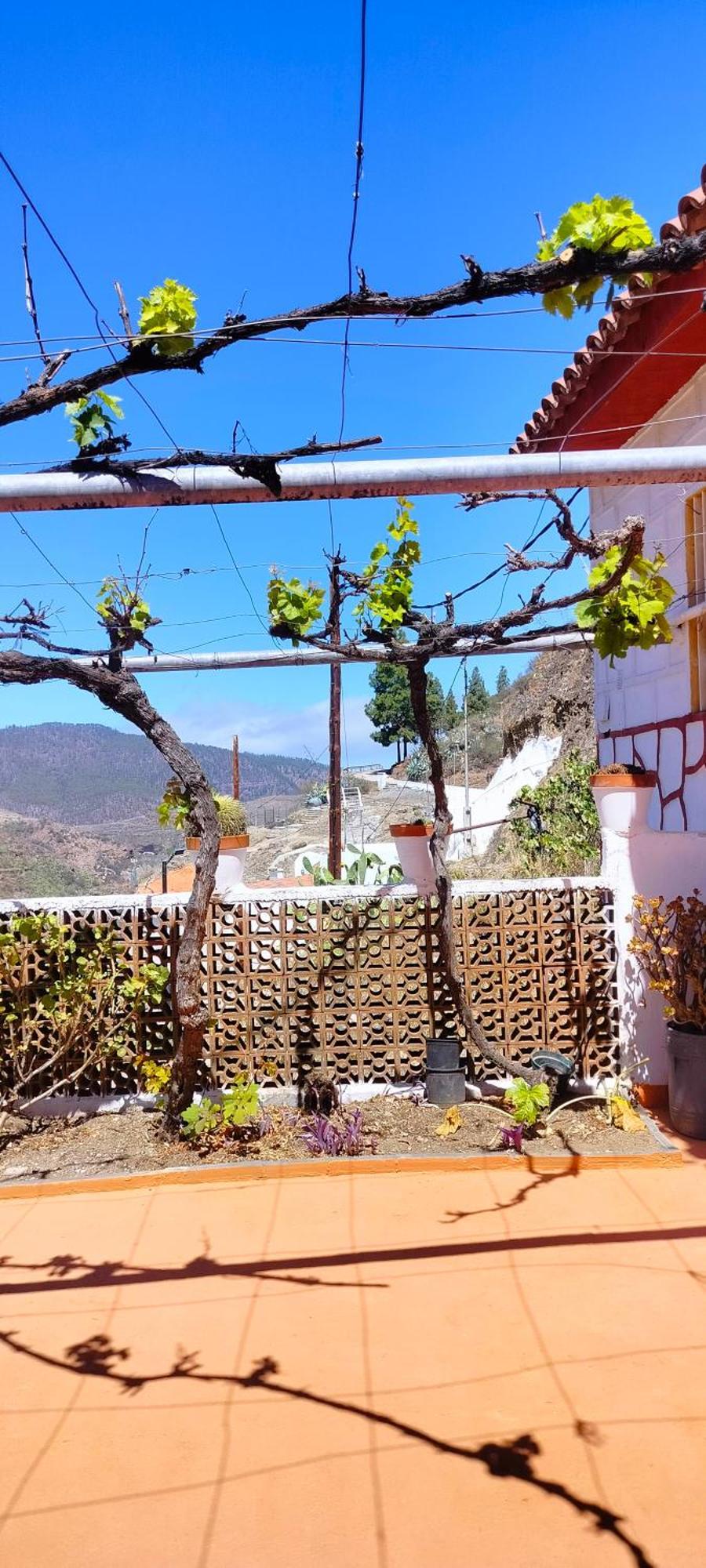 Casa Cueva Rural Trebola, Artenara Juncalillo Εξωτερικό φωτογραφία